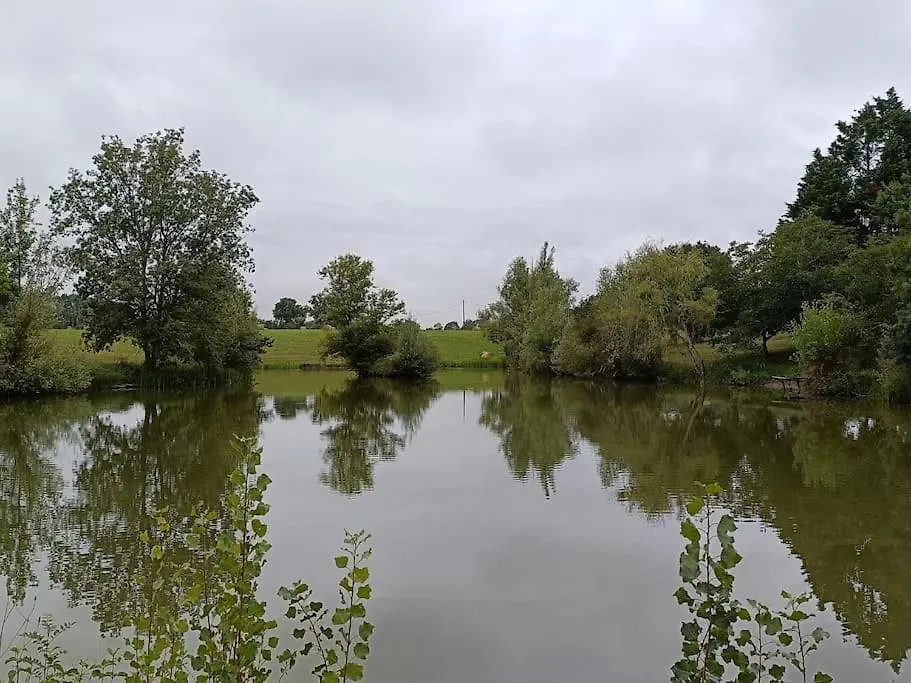 Le Grand Castillon - Gite Peche Avec 2 Etangs Prives, Foret Et Jacuzzi Castelnau-dʼAuzan Сasa de vacaciones