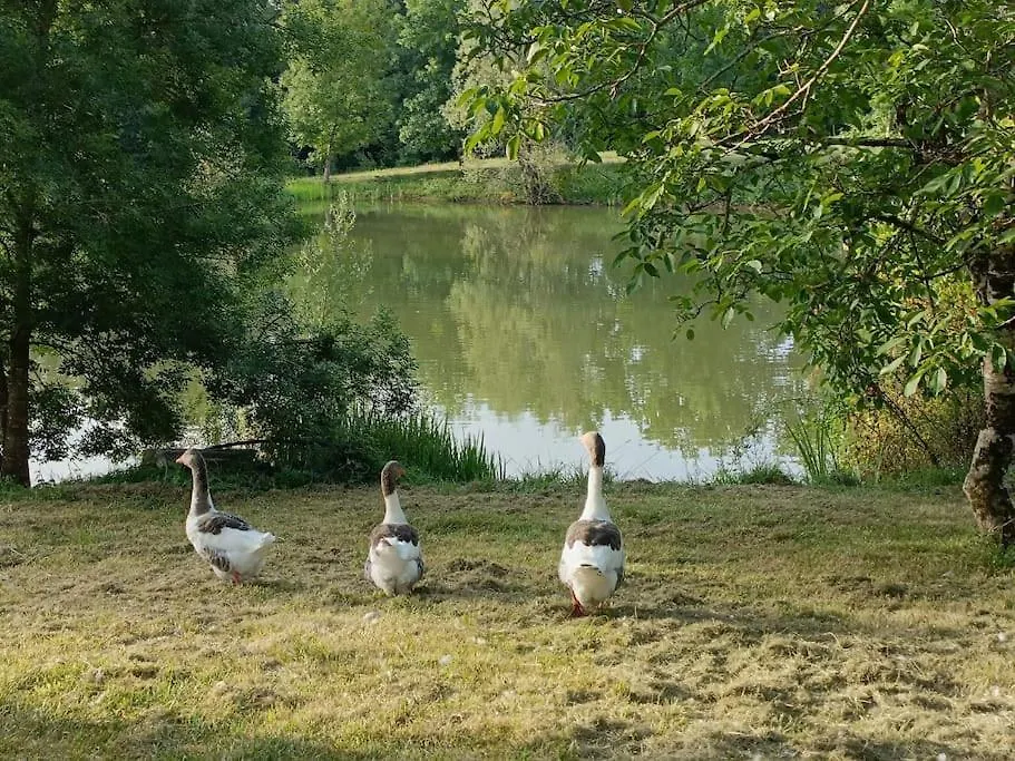 Le Grand Castillon - Gite Peche Avec 2 Etangs Prives Et Foret Castelnau-d'Auzan Holiday home