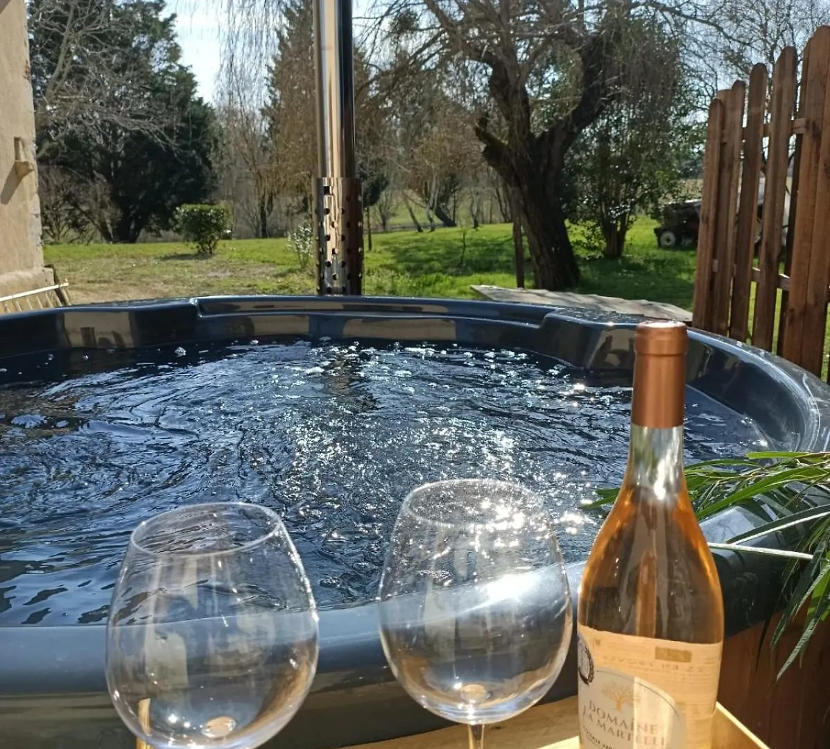 Le Grand Castillon - Gite Peche Avec 2 Etangs Prives, Foret Et Jacuzzi Castelnau-dʼAuzan