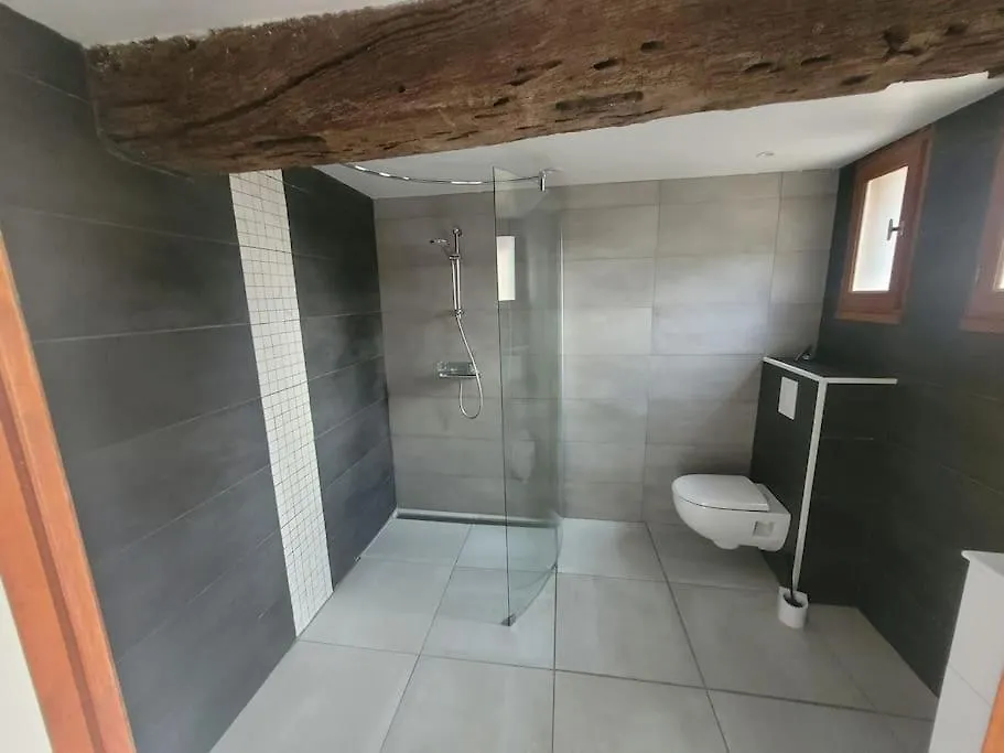Le Grand Castillon - Gite Peche Avec 2 Etangs Prives, Foret Et Jacuzzi Castelnau-d'Auzan Holiday home